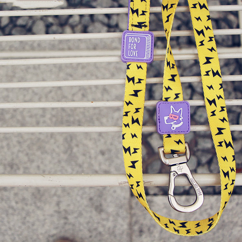 Unleash Adventure with Our Premium Pet Leash!